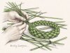 Braiding Sweetgrass
